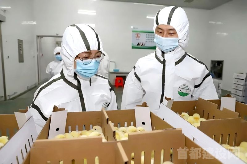 首农食品峪口禽业获国家科技进步奖二等奖
